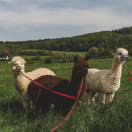 Karkonoska Drewniana *