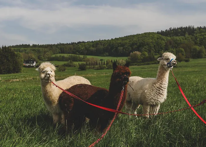 Karkonoska Drewniana *